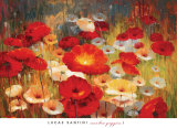 Meadow Poppies I