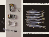 Buy Toute une Vie de Poisson at AllPosters.com
