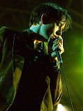 Pulp