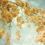 Buy Tuesday Morning at AllPosters.com