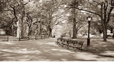 May in Manhattan Art Print