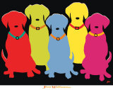 Five Labs