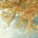 Under a Blue Sky Art Print