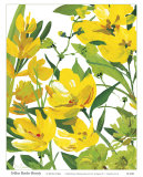 Buy Yellow Border Beauty at AllPosters.com