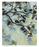 Buy Evening Shadows I at AllPosters.com