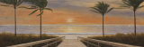 Beach Winds