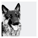 Buy Shepherd at AllPosters.com