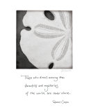 Sand Dollar