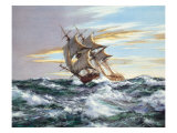 Dawn Chase