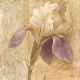 Brocade Iris