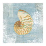 Listen to the Sea