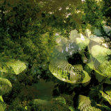 Vegetaux 14, 2008