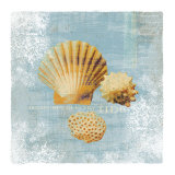 Tidal Treasures