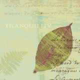 Buy Tranquility at AllPosters.com