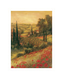 Toscano Valley I