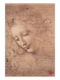 Female Head (La Scapigliata), c.1508