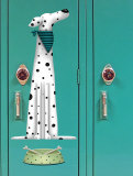 Dalmation