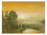 Buy Wetlands at AllPosters.com