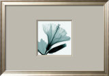 Buy Hibiscus and Bud at AllPosters.com