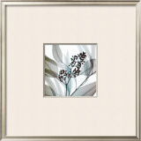 Buy Eucalyptus at AllPosters.com