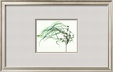 Buy Wind at AllPosters.com