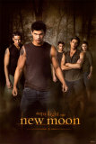 Twilight - New Moon