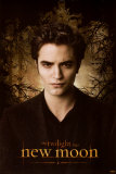 Twilight - New Moon