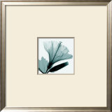 Buy Hibiscus and Bud at AllPosters.com