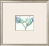 Buy Willow at AllPosters.com