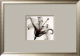 Buy Lily Muscadet at AllPosters.com