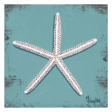Distressed Seashells: Starfish II