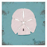 Distressed Seashells: Sanddollar