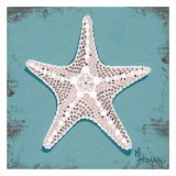 Distressed Seashells: Starfish I