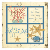 Distressed Wood: Seaside