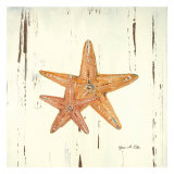 starfish II