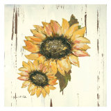 Sunflower I
