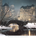 Twilight in Central Park