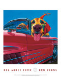 Dog About Town