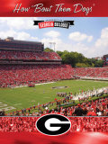 University of Georgia-Stadium Shot