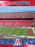 The University of Arizona-Stadium Shot