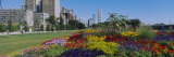 Flowers in a Garden, Welcome Garden, Grant Park, Michigan Avenue, Roosevelt Road, Chicago