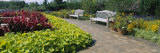 Buy Plants in a Botanical Garden, Circle Garden, Chicago Botanic Garden, Glencoe at AllPosters.com