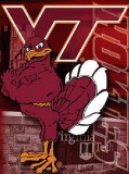 The Virginia Tech-Hokie