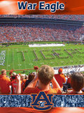 Auburn University-Stadium Shot