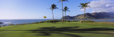 Palm Trees on a Golf Course at the Seaside, Kiele Course, Number 13, Kauai Lagoons Golf Club