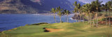 Palm Trees at Seaside, Kiele Course, Number 13, Kauai Lagoons Golf Club, Lihue, Hawaii, USA
