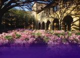 Louisiana State University-Himes Hall