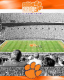 Clemson University- Stadium Shot