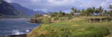 Palm Trees at Seaside, Kiele Course, Number 13, Kauai Lagoons Golf Club, Lihue, Hawaii, USA,