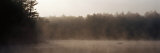Buy Morning Mist Adirondack State Park Old Forge Ny, USA at AllPosters.com